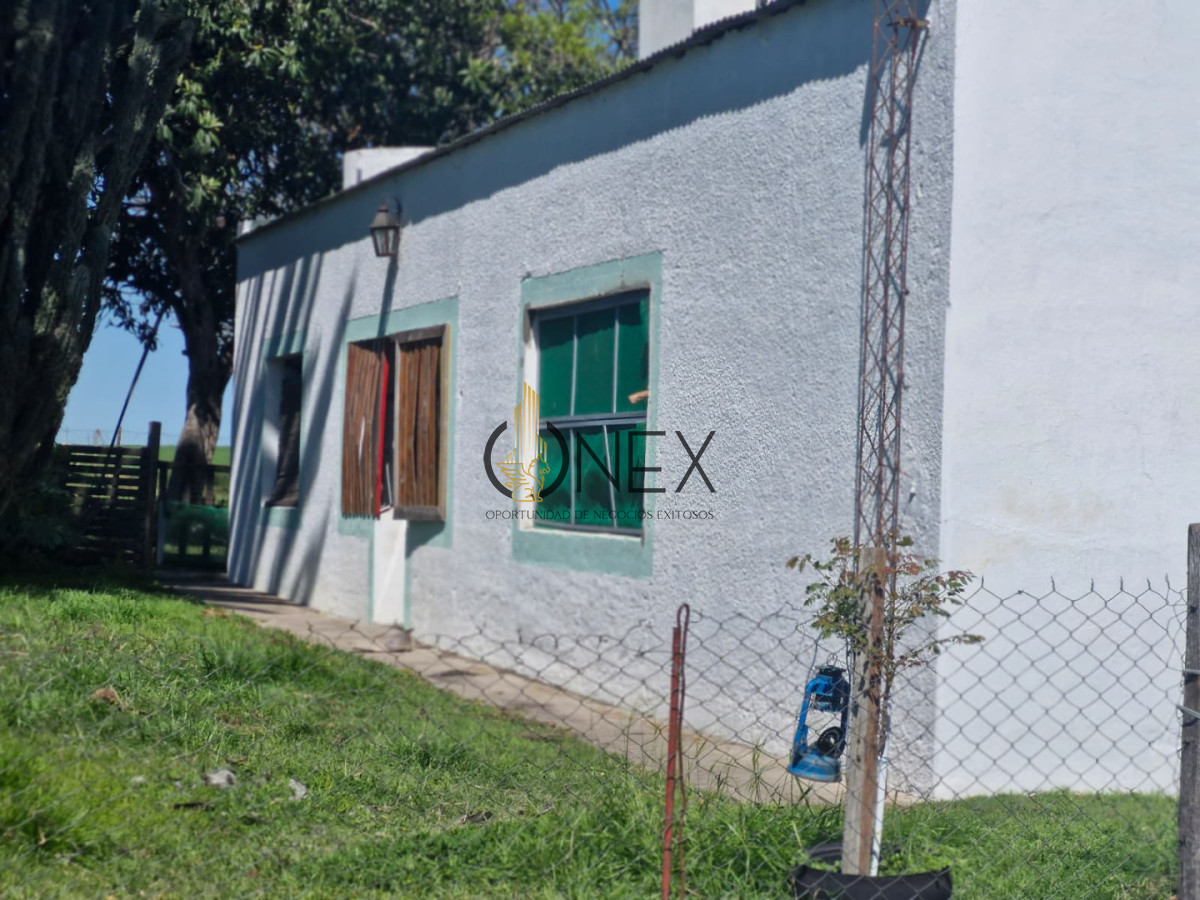 Campo Ref.3810 - Campo en venta en Arroyo Negro | 120 hectáreas