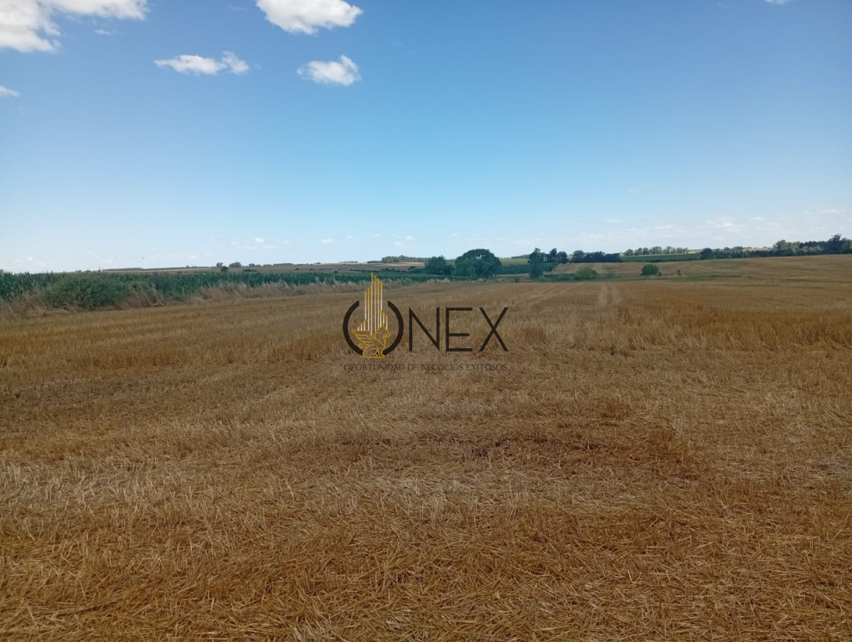 Campo Ref.3804 - 23 HECT. EN COLONIA AGRICOLA/GANADERO 