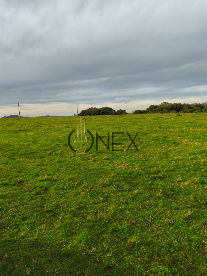 Campo Ref.2890 - Venta de campo de 34 Has en Pan de Azucar