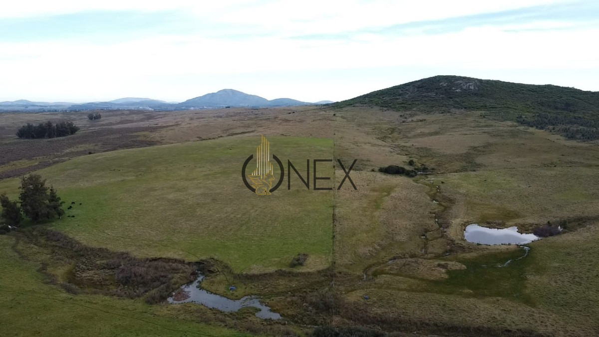 Campo Ref.2890 - Venta de campo de 34 Has en Pan de Azucar