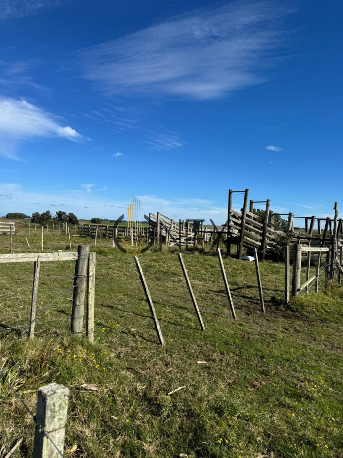 Campo Ref.2625 - Venta de Campo de 21 Ha en Jose Ignacio