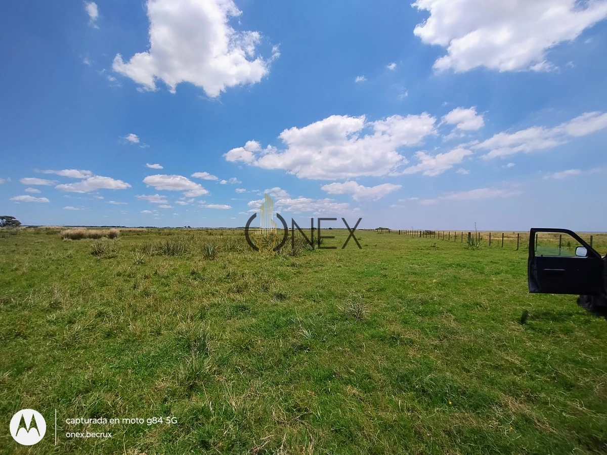 Campo Ref.2557 - Campo en Otra, 