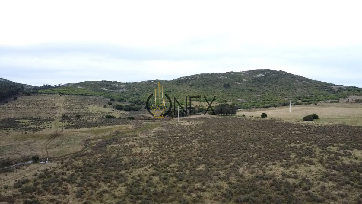 Campo Ref.2894 - Venta de Campo de 25 Ha en 