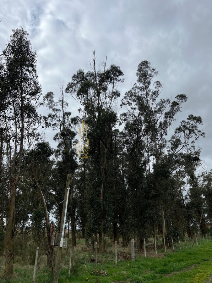 Campo Ref.1468 - SE VENDE CAMPO EN SAUCE, CANELONES. MUY BUEN ACCESO