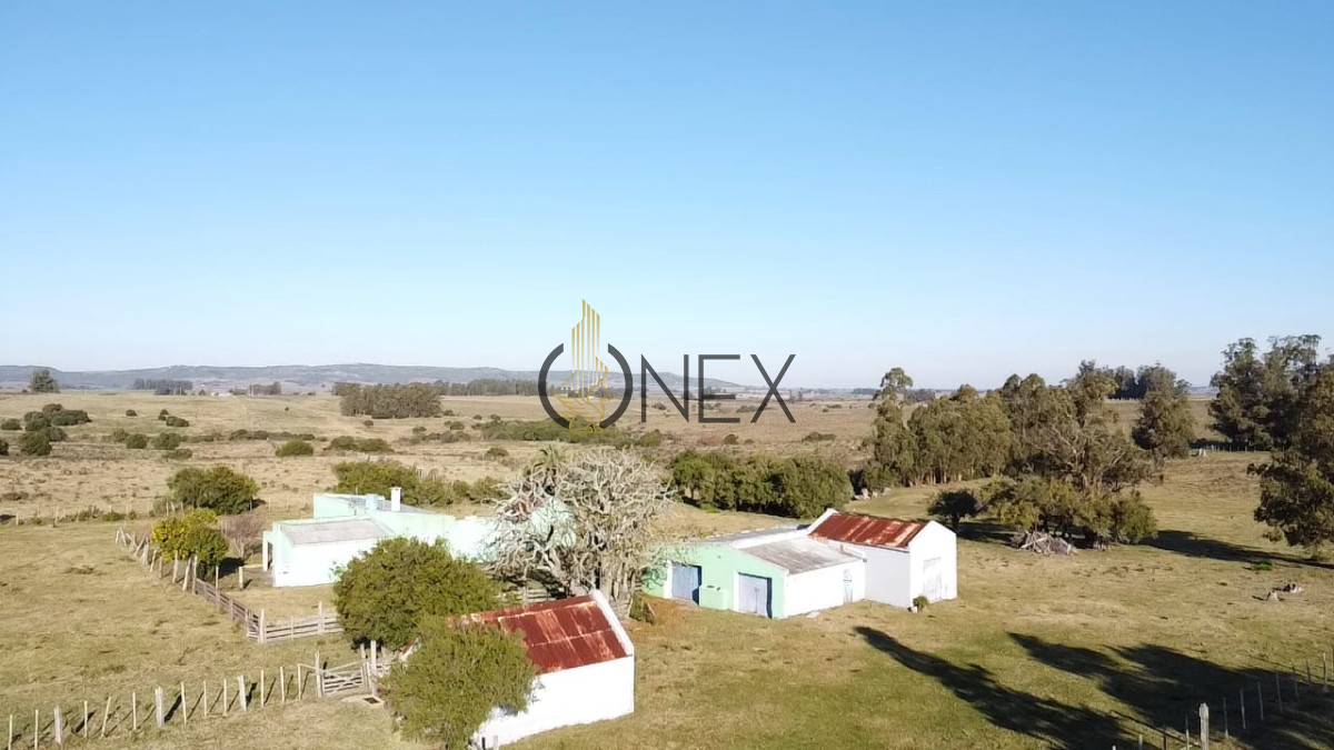 Campo Ref.2902 - Venta de campo de 103 Has en Las Cañas