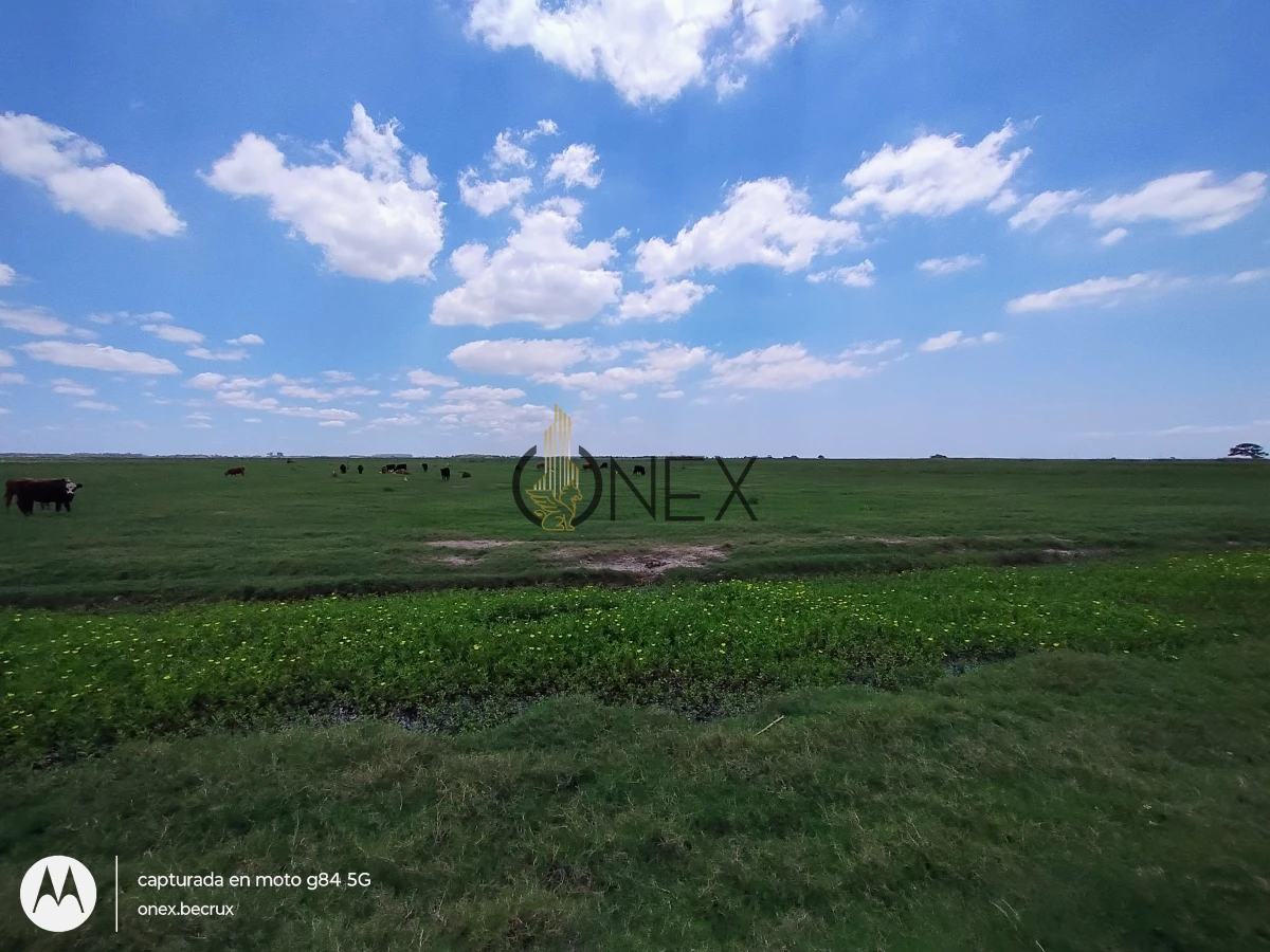 Campo Ref.2557 - Campo en Otra, 
