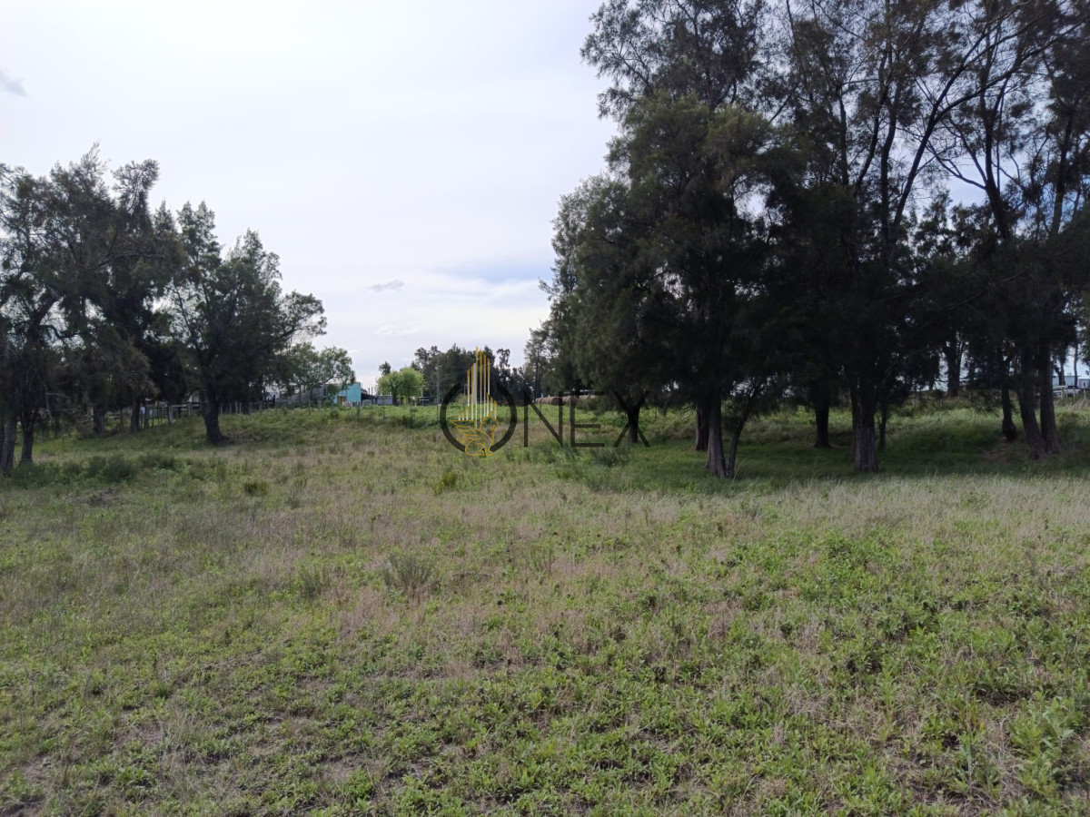 Campo Ref.3235 - 6 hectáreas sobre Ruta 11 - Ideal para producción e inversión