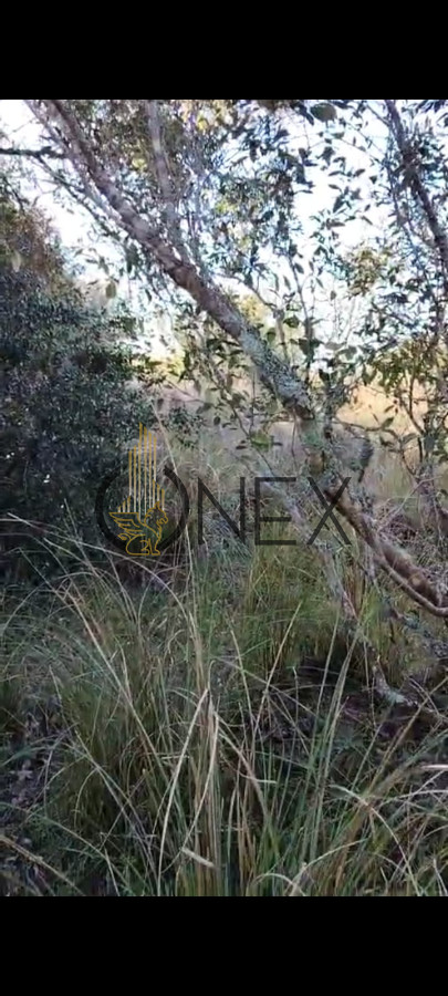 Campo Ref.2831 - Venta de campo de 20 Ha en Paso del Tigre