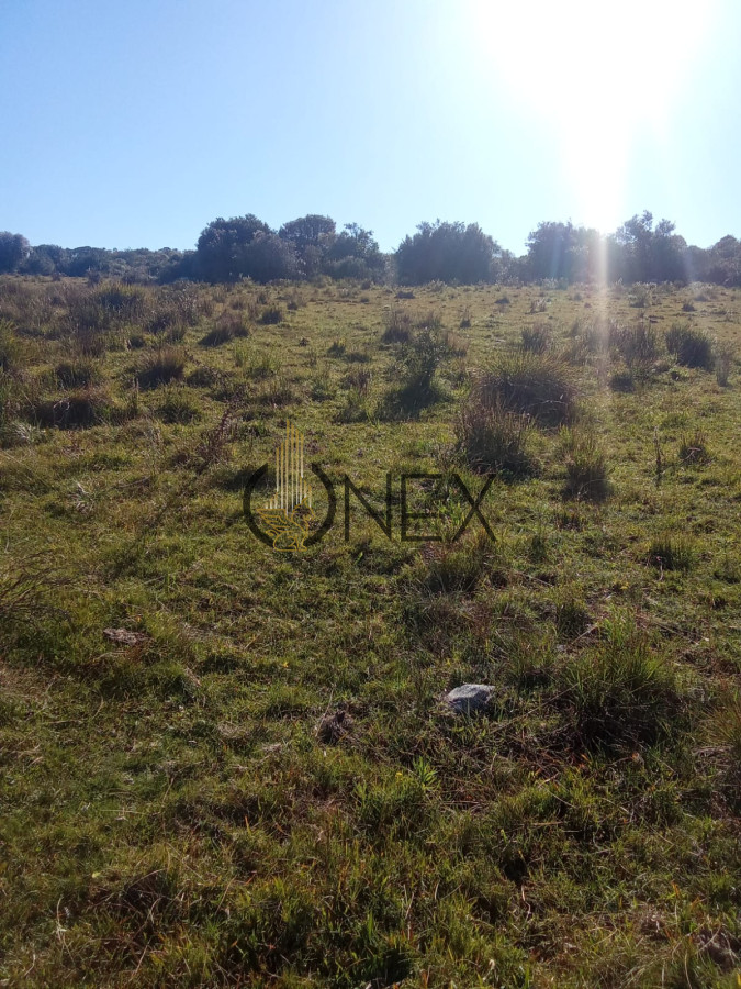 Campo Ref.2734 - Venta de campo de 22 Ha en Zanja de Chavez