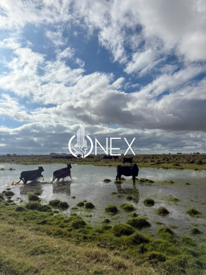 Campo Ref.4620 - Se vende en Corral de Palma 