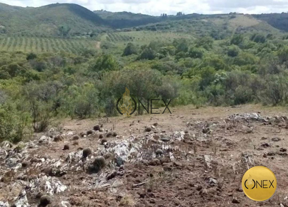 Campo Ref.1116 - Se vende campo en Maldonado 35has
