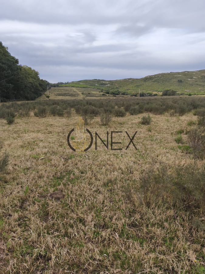 Campo Ref.2894 - Venta de Campo de 25 Ha en 