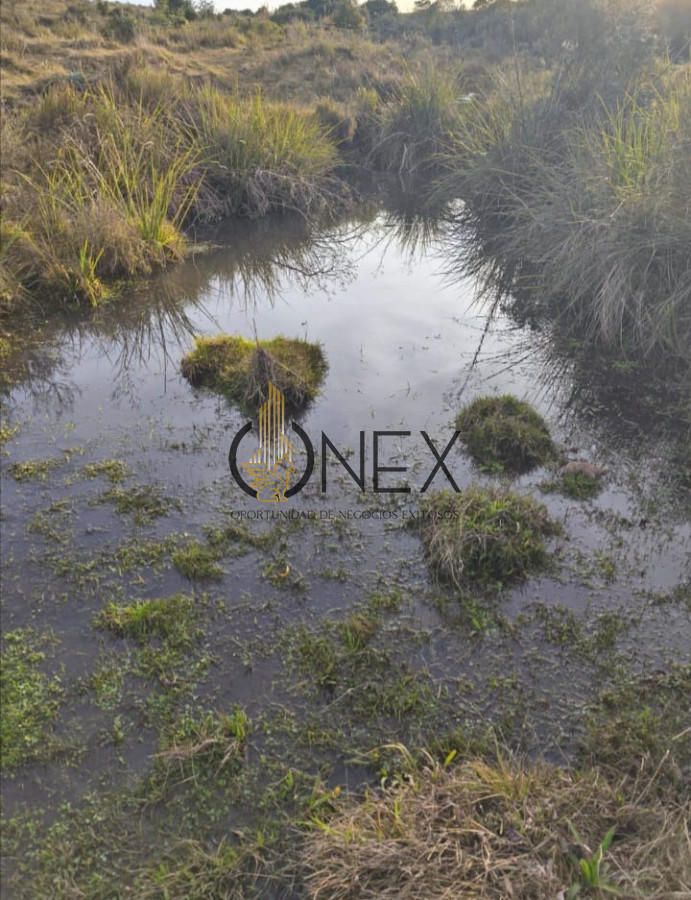 Campo Ref.3862 - Venta de Campo 55Ha en Las Cañas