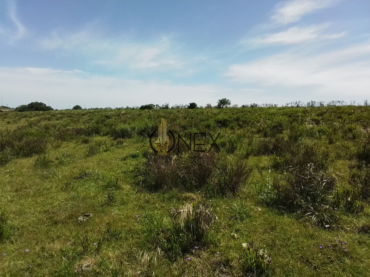 Campo Ref.3598 - Se vende excelente parcela de 6,85 has a 17 min de Jose Ignacio, sobre Ruta 9 km 155