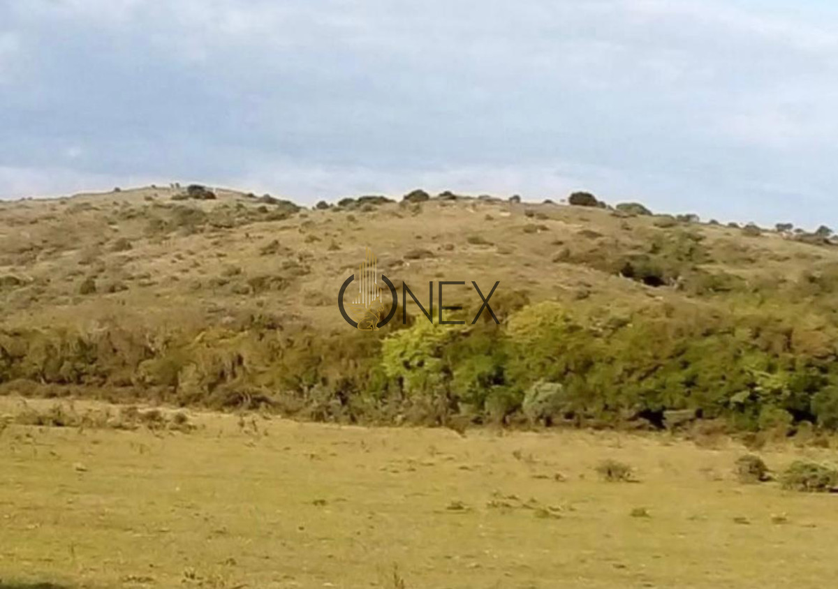 Campo Ref.1116 - Se vende campo en Maldonado 35has