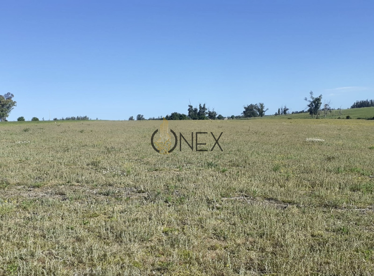 Campo Ref.1345 - Campo en venta en Inmejorable ubicacion. 