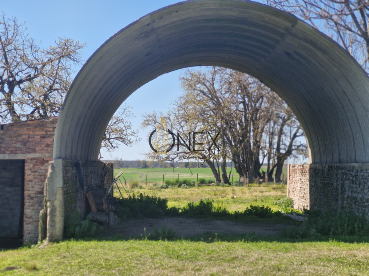 Campo Ref.3810 - Campo en venta en Arroyo Negro | 120 hectáreas