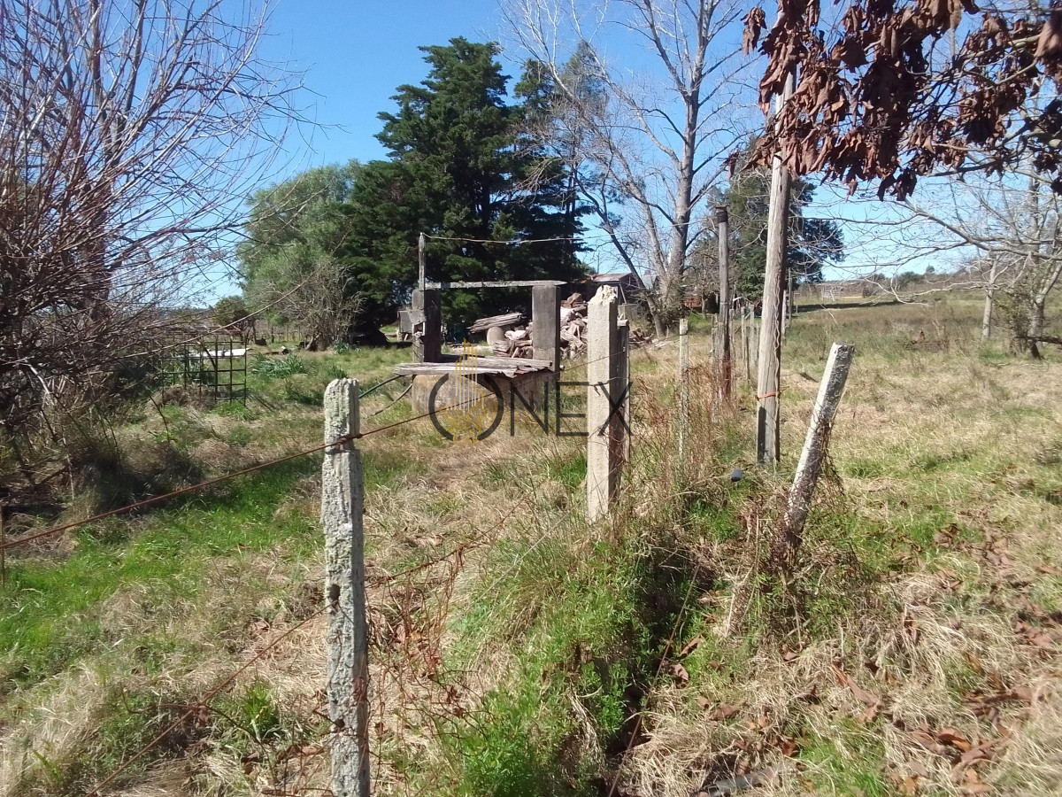 Campo Ref.1231 - Venta de Campo en Depto Canelones