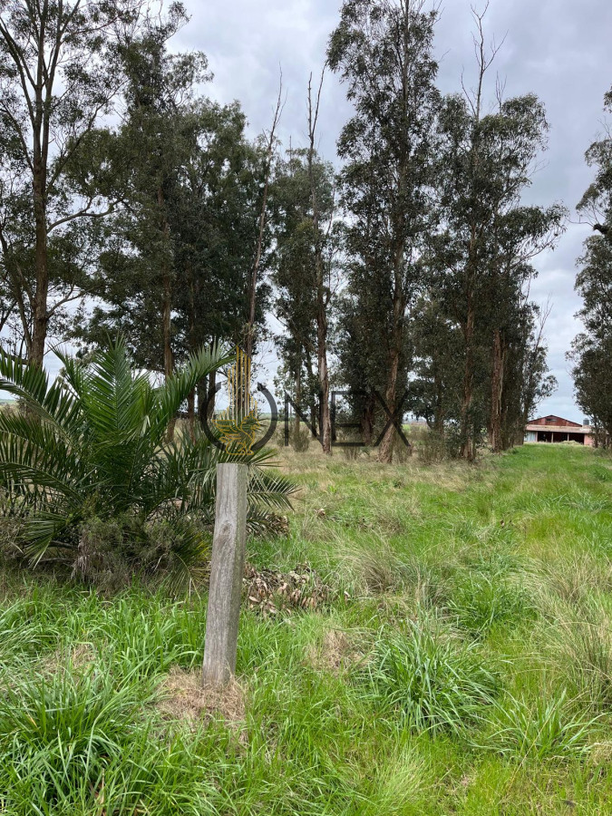Campo Ref.2937 - VENTA DE CAMPO EN SAUCE, CANELONES 