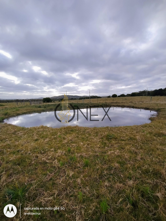 Campo Ref.2502 - Campo en Zona Rural, 