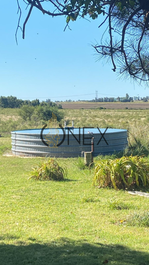 Campo Ref.1543 - Campo en venta de 41 ha en Empalme Olmos 