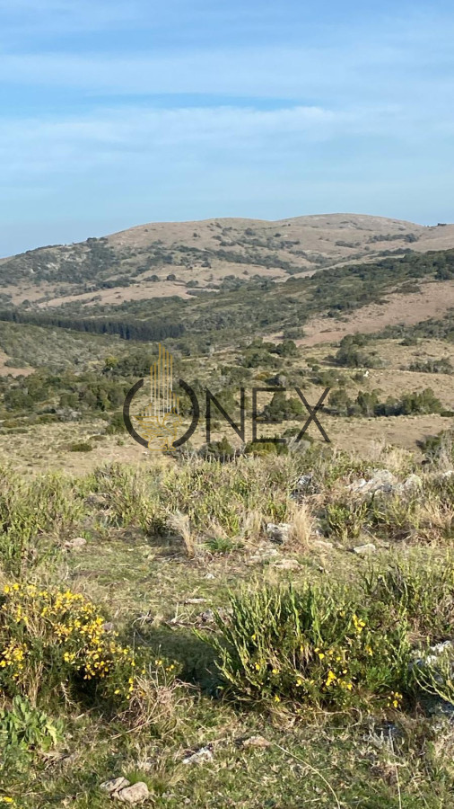 Campo Ref.3051 - Chacras en Castillos en un fraccionamiento 
