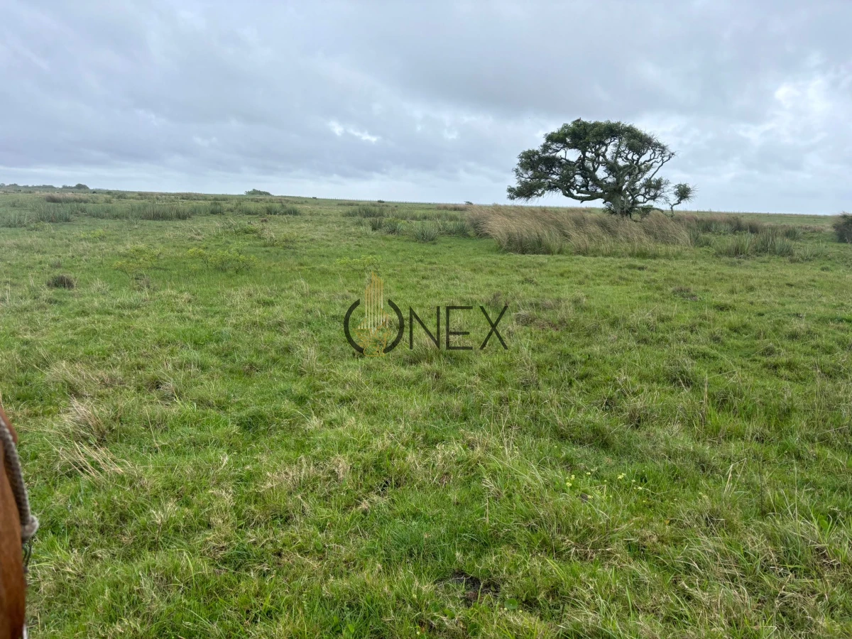 Campo Ref.2557 - Campo en Otra, 