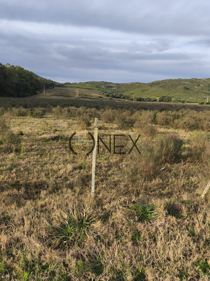 Campo Ref.2894 - Venta de Campo de 25 Ha en 