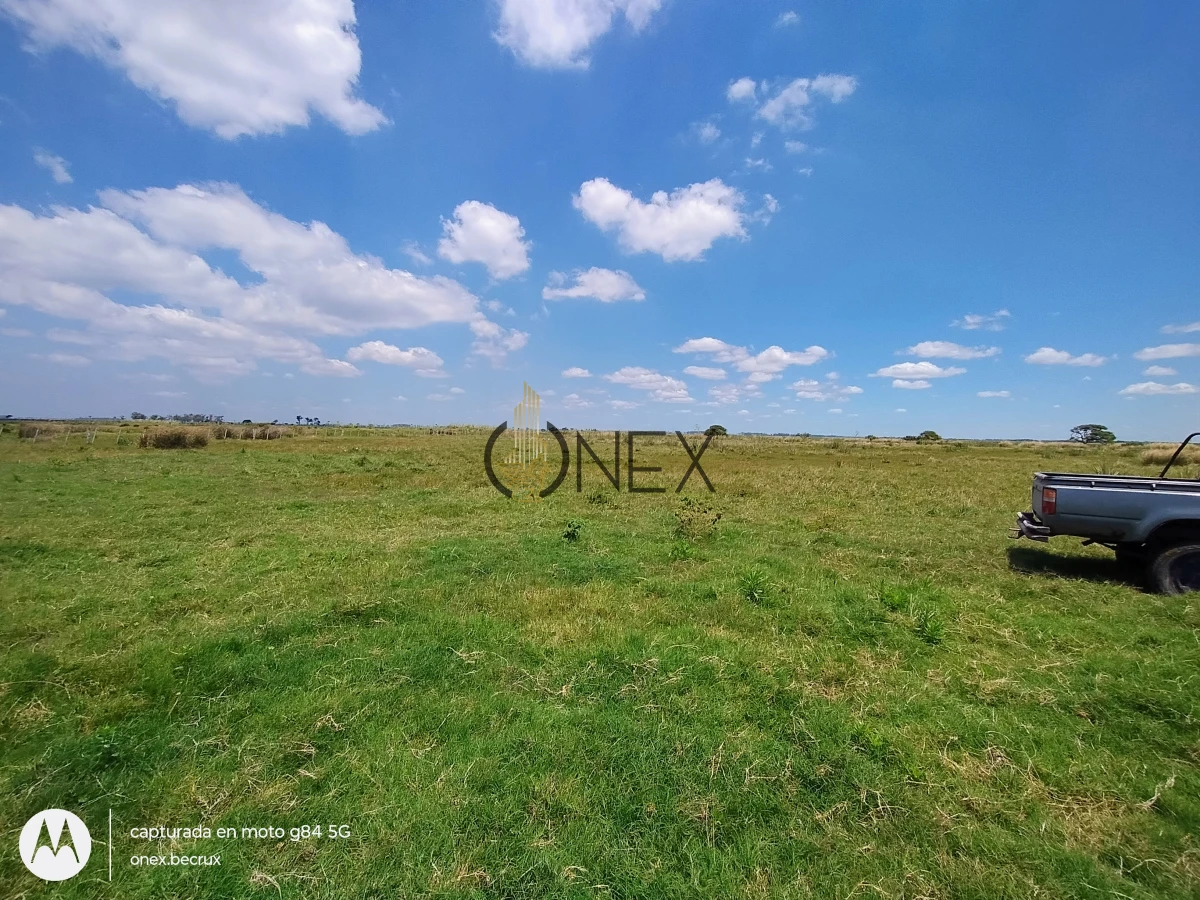 Campo Ref.2557 - Campo en Otra, 