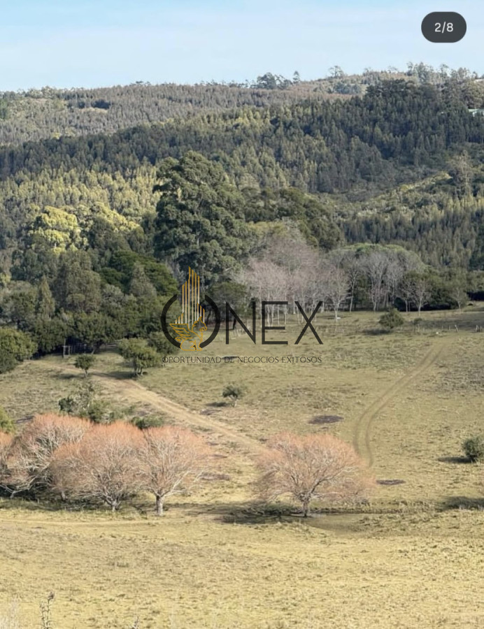 Campo Ref.3811 - Venta Campo de 26Ha con casa en Minas