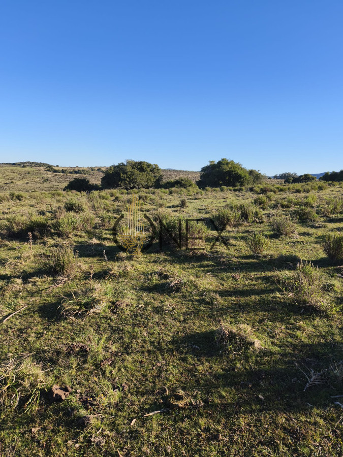 Campo Ref.2902 - Venta de campo de 103 Has en Las Cañas