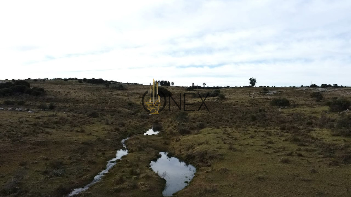 Campo Ref.3033 - Venta de campo de 57 Has Zona las Cañas 