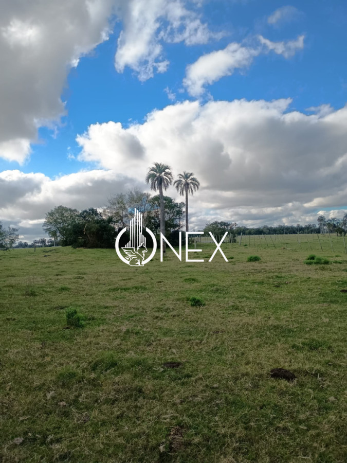 Campo Ref.4620 - Se vende en Corral de Palma 