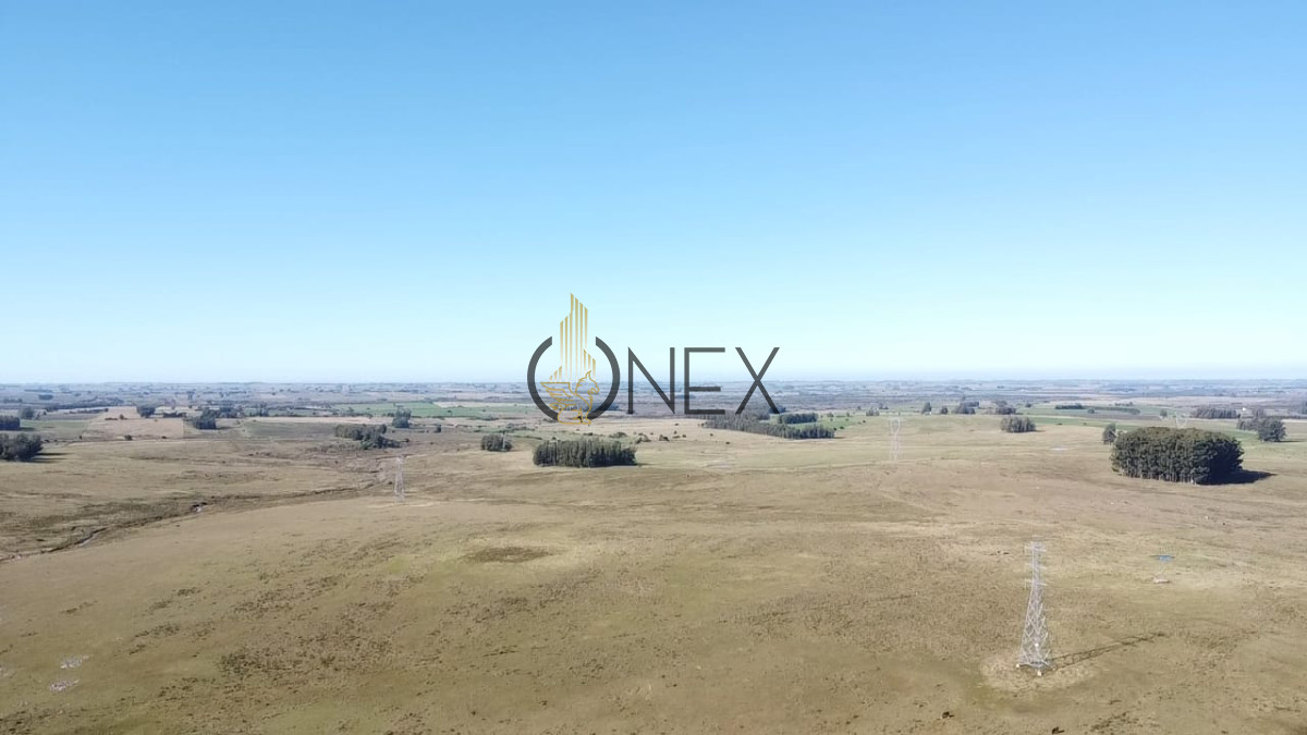 Campo Ref.2995 - Venta de Campo de 103 Has Partido Norte
