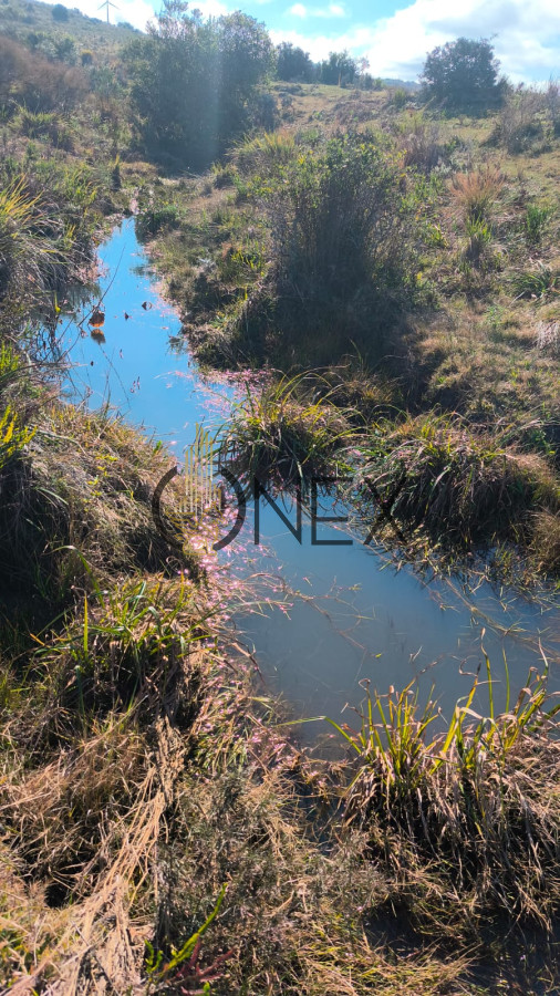 Campo Ref.3087 - Venta de Campo de 150Ha en Lavalleja