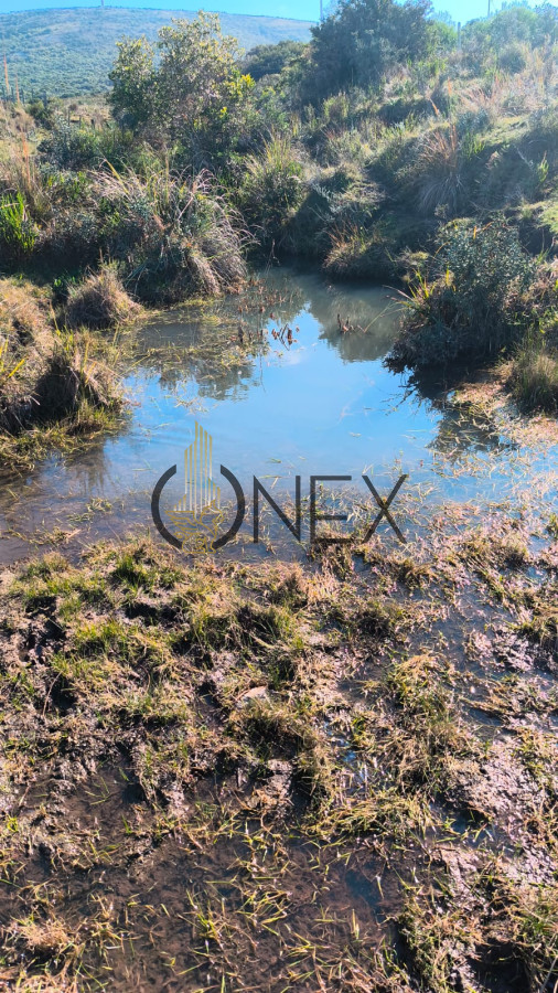 Campo Ref.3087 - Venta de Campo de 150Ha en Lavalleja