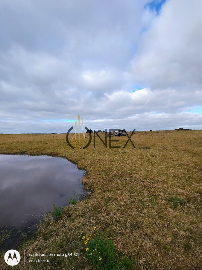 Campo Ref.2502 - Campo en Zona Rural, 