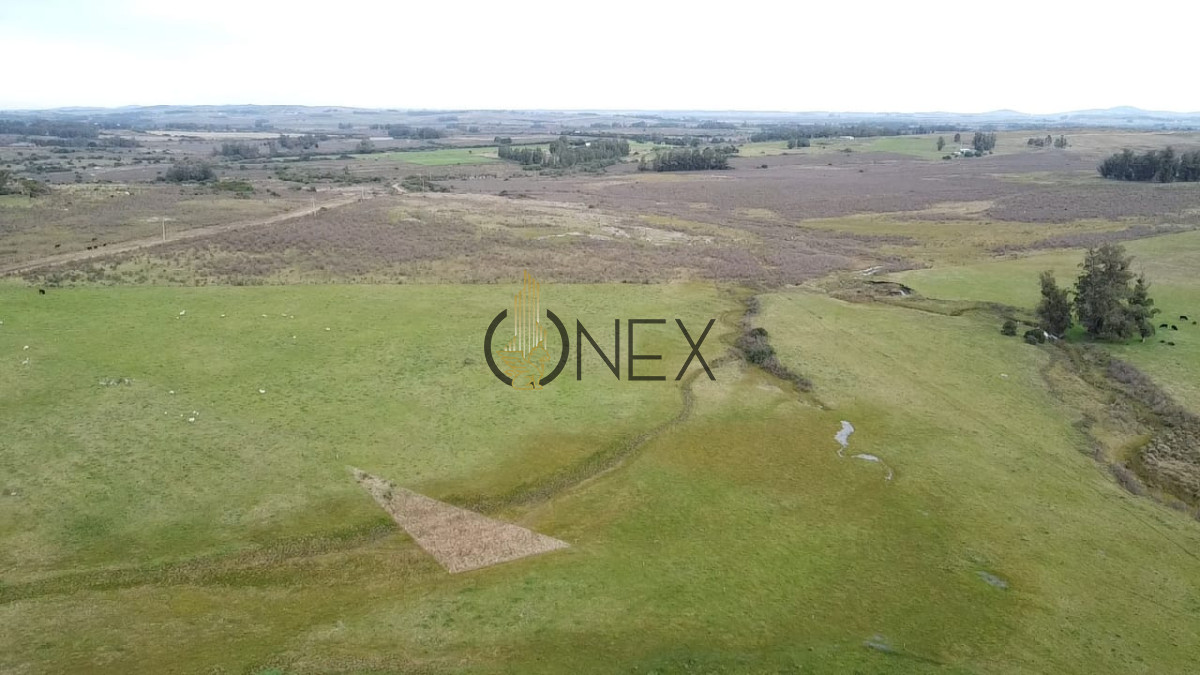 Campo Ref.2890 - Venta de campo de 34 Has en Pan de Azucar