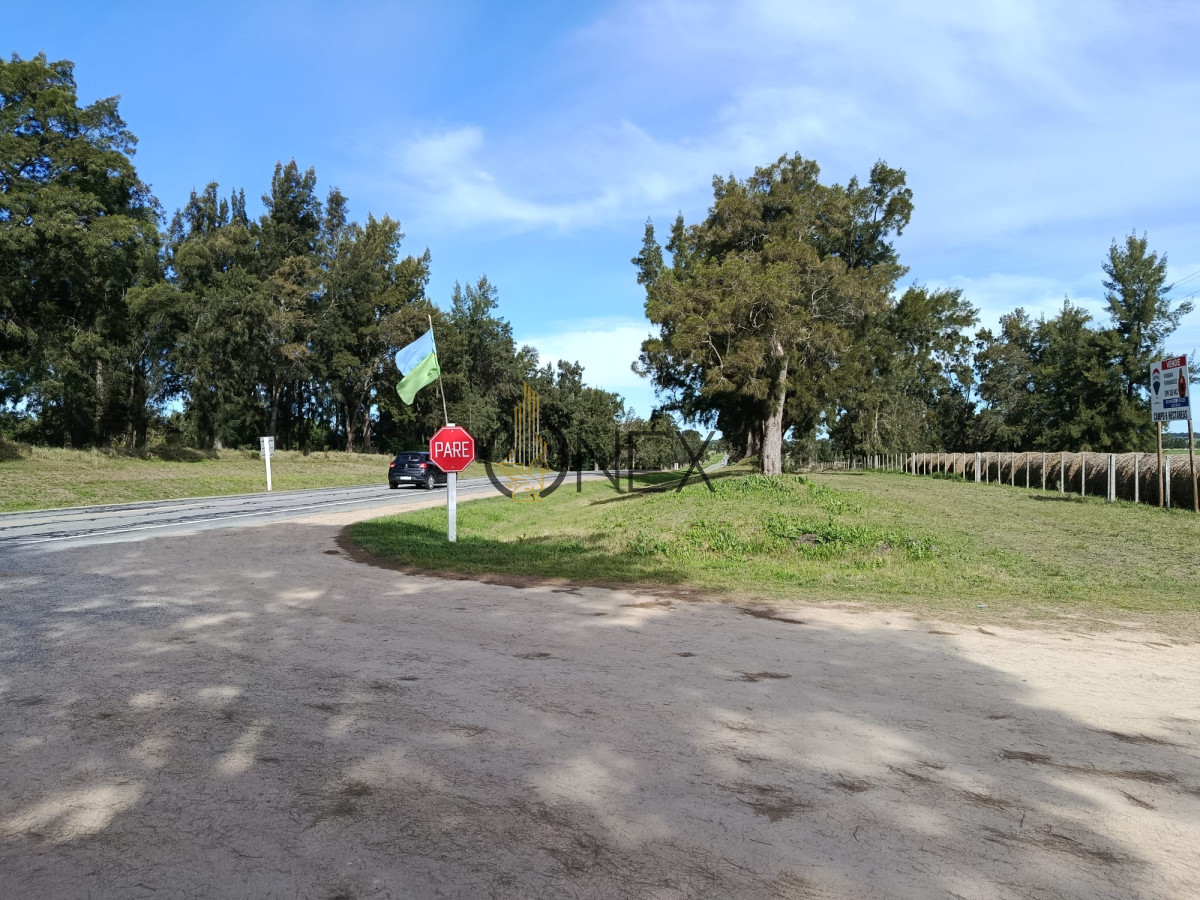 Campo Ref.3235 - 6 hectáreas sobre Ruta 11 - Ideal para producción e inversión