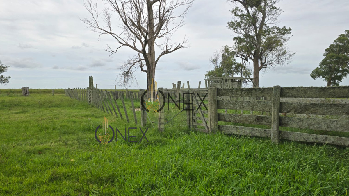 Campo Ref.1782 - Campo en Rural, 