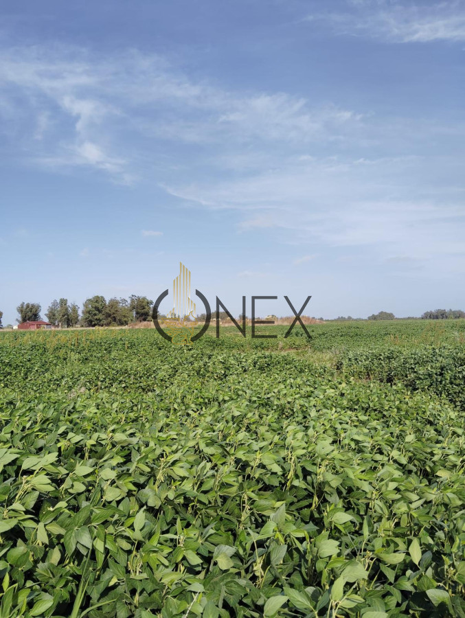 Campo Ref.1468 - SE VENDE CAMPO EN SAUCE, CANELONES. MUY BUEN ACCESO