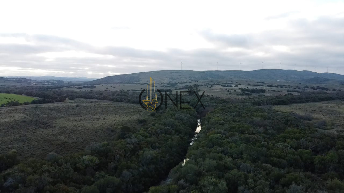 Campo Ref.3028 - Venta de campo de 240 Has Zona Las Cañas