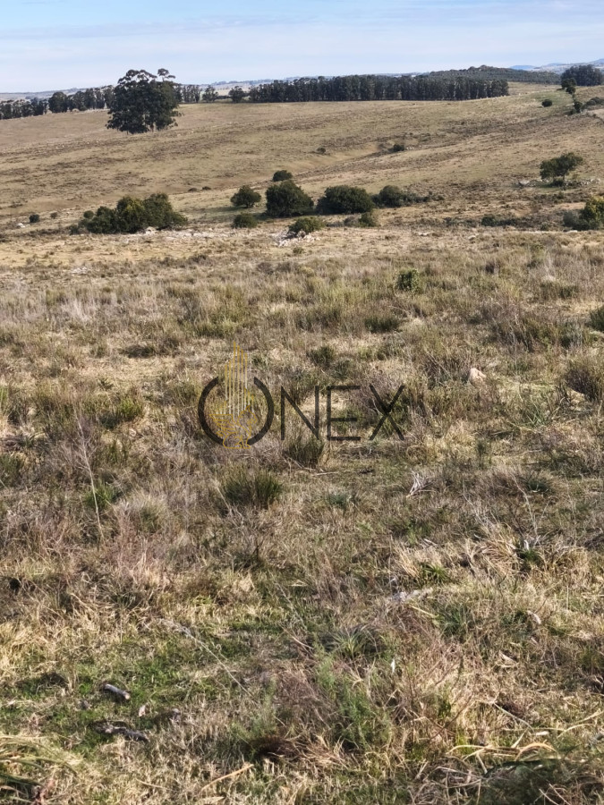 Campo Ref.3028 - Venta de campo de 240 Has Zona Las Cañas