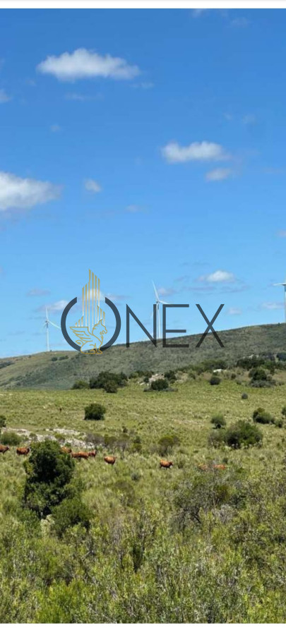 Campo Ref.2247 - Venta De Chacras Valle San Nicolas