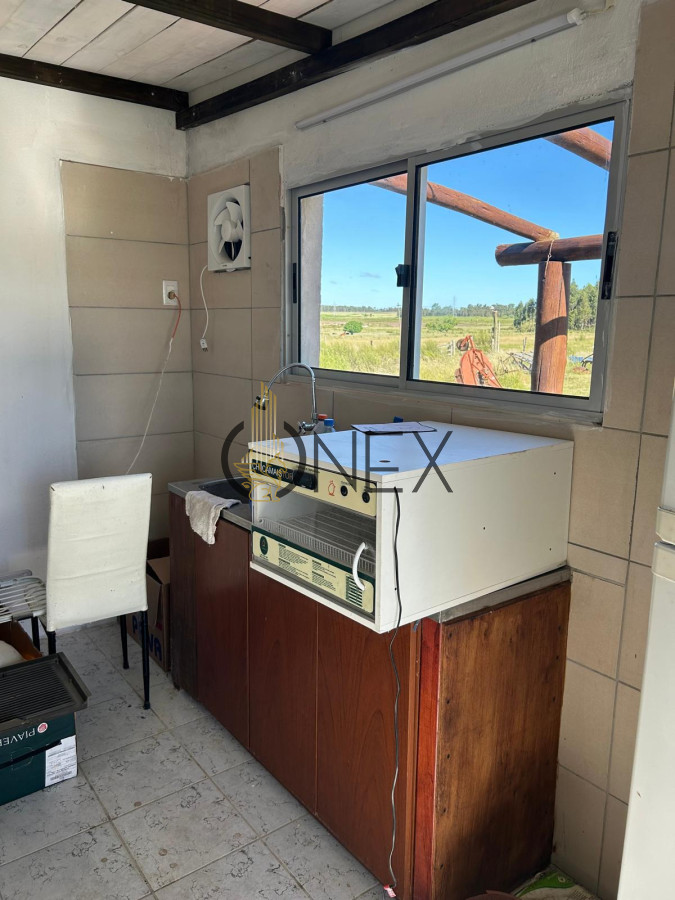 Campo Ref.1543 - Campo en venta de 41 ha en Empalme Olmos 