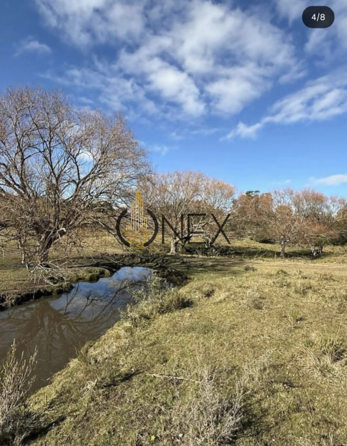 Campo Ref.3811 - Venta Campo de 26Ha con casa en Minas