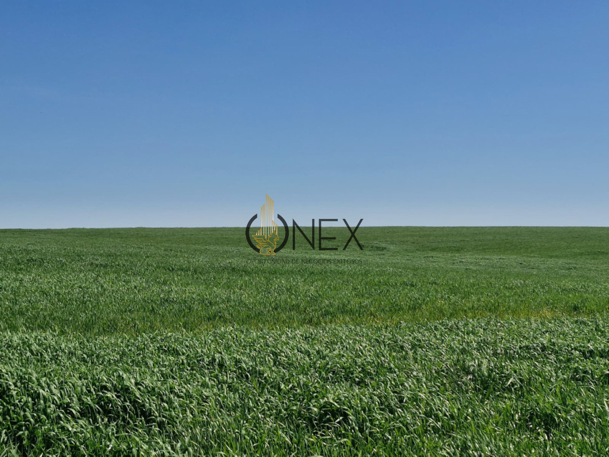 Campo Ref.3810 - Campo en venta en Arroyo Negro | 120 hectáreas