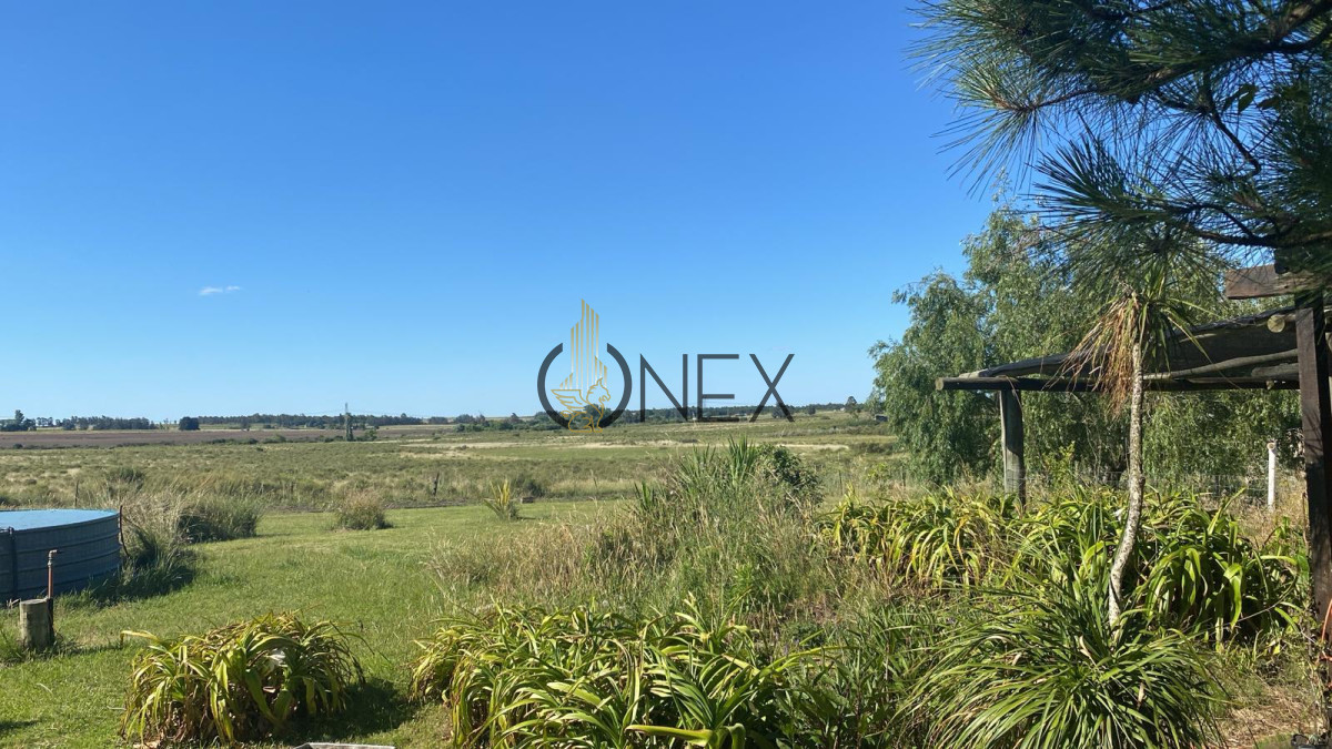 Campo Ref.1543 - Campo en venta de 41 ha en Empalme Olmos 