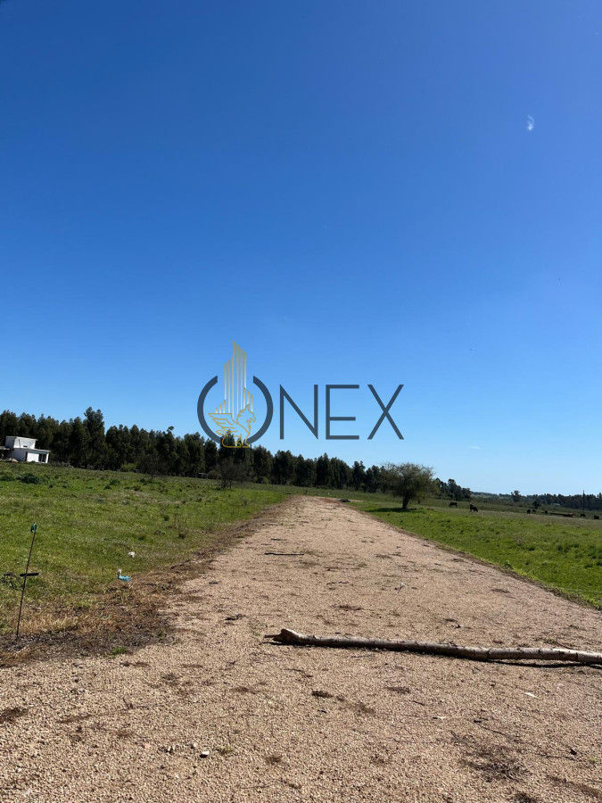 Campo Ref.2937 - VENTA DE CAMPO EN SAUCE, CANELONES 
