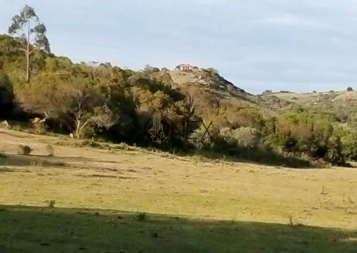 Campo Ref.1116 - Se vende campo en Maldonado 35has
